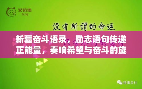 新疆奋斗语录，励志语句传递正能量，奏响希望与奋斗的旋律
