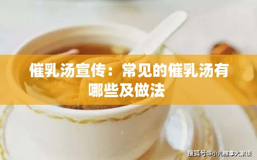 催乳汤宣传：常见的催乳汤有哪些及做法 