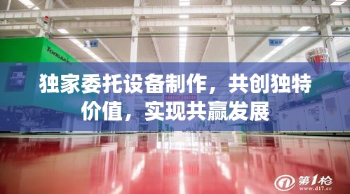 独家委托设备制作，共创独特价值，实现共赢发展