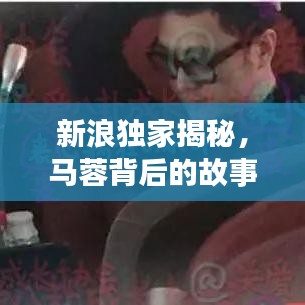 新浪独家揭秘，马蓉背后的故事——深度解析视频真相