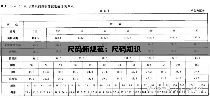 maomeiruhua 第2页