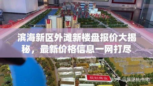 滨海新区外滩新楼盘报价大揭秘，最新价格信息一网打尽