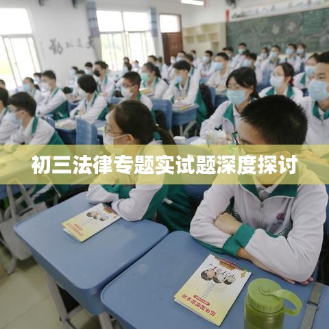初三法律专题实试题深度探讨