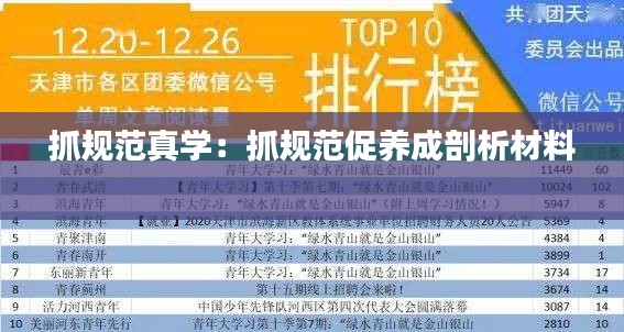 抓规范真学：抓规范促养成剖析材料 