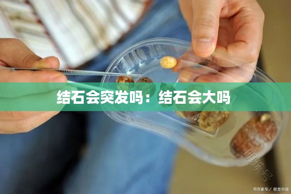 真独简贵 第2页