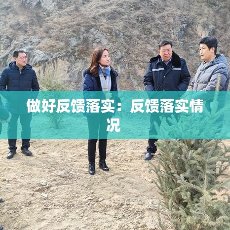 做好反馈落实：反馈落实情况 