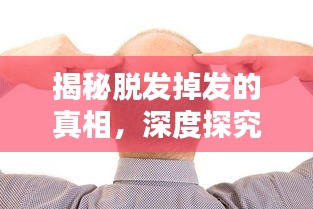 揭秘脱发掉发的真相，深度探究原因与防治策略