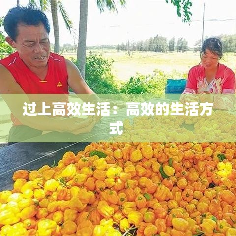 过上高效生活：高效的生活方式 