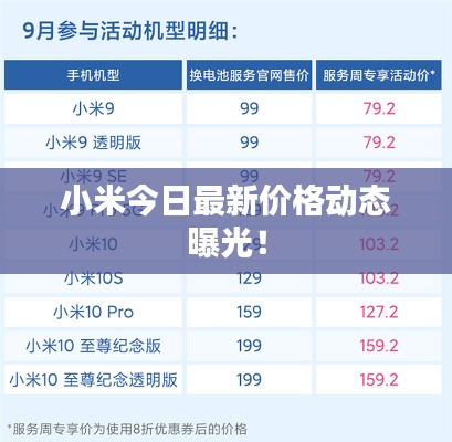 小米今日最新价格动态曝光！