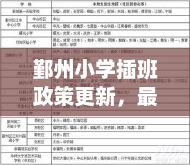 鄞州小学插班政策更新，最新动态解读