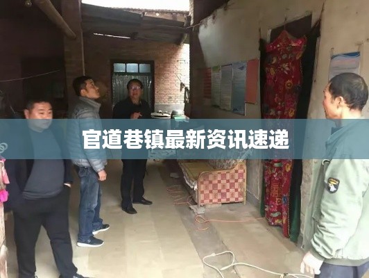 官道巷镇最新资讯速递