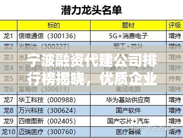 宁波融资代建公司排行榜揭晓，优质企业一览