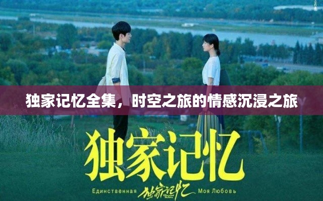 独家记忆全集，时空之旅的情感沉浸之旅