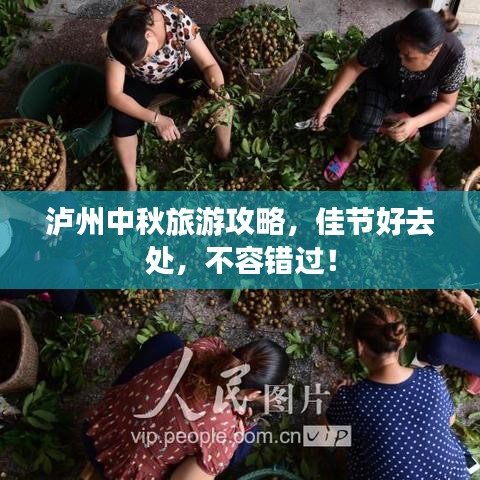 泸州中秋旅游攻略，佳节好去处，不容错过！