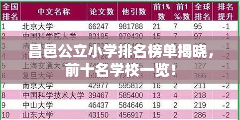 昌邑公立小学排名榜单揭晓，前十名学校一览！