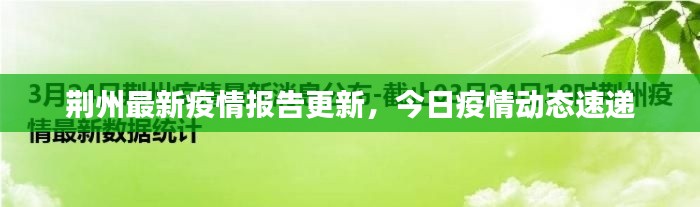 荆州最新疫情报告更新，今日疫情动态速递