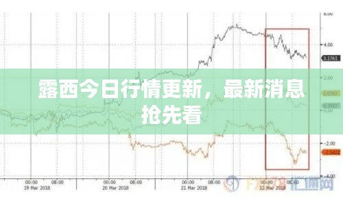 露西今日行情更新，最新消息抢先看