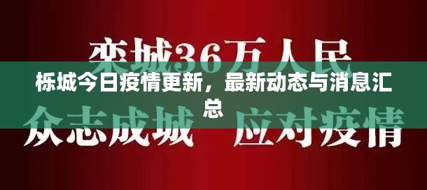 栎城今日疫情更新，最新动态与消息汇总