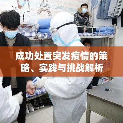 成功处置突发疫情的策略、实践与挑战解析