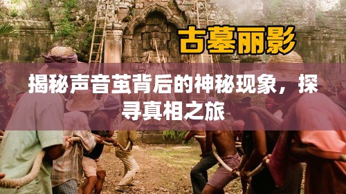 揭秘声音茧背后的神秘现象，探寻真相之旅