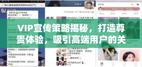 VIP宣传策略揭秘，打造尊贵体验，吸引高端用户的关键之道