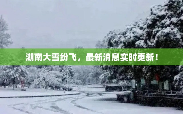 湖南大雪纷飞，最新消息实时更新！