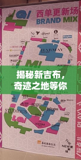 揭秘新吉布，奇迹之地等你来探索！
