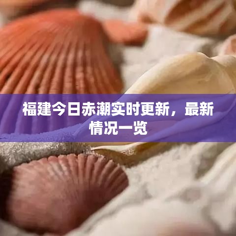 福建今日赤潮实时更新，最新情况一览