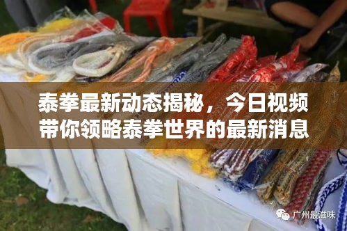 泰拳最新动态揭秘，今日视频带你领略泰拳世界的最新消息
