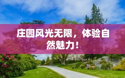庄园风光无限，体验自然魅力！