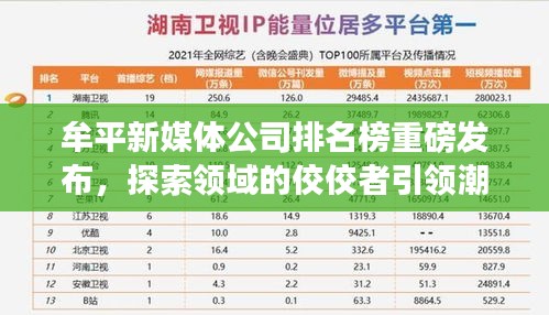 关于我们 第34页