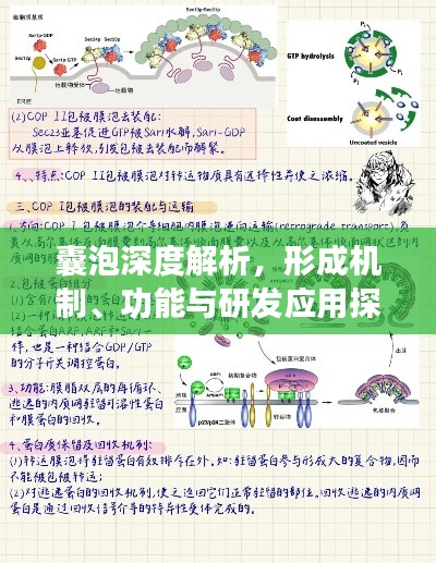 温柔敦厚