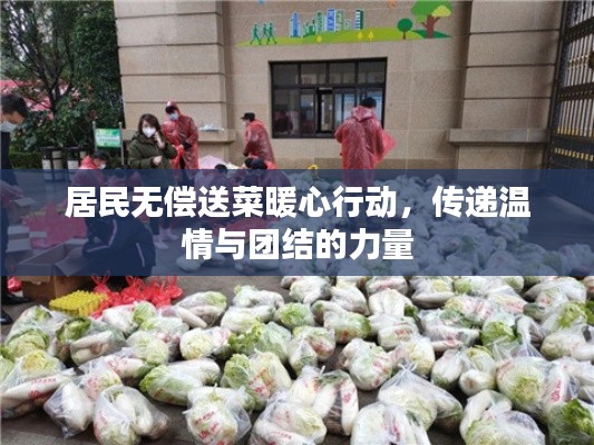 居民无偿送菜暖心行动，传递温情与团结的力量