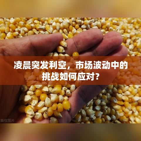 niaozhijiangsi