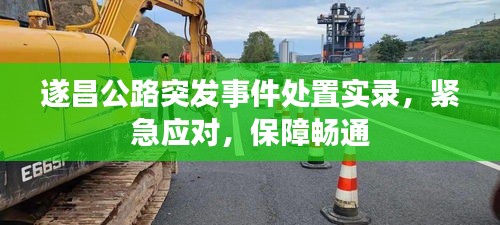 遂昌公路突发事件处置实录，紧急应对，保障畅通