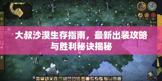 大叔沙漠生存指南，最新出装攻略与胜利秘诀揭秘