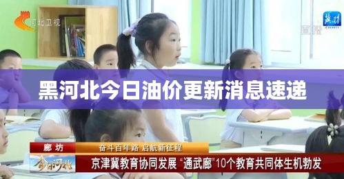 黑河北今日油价更新消息速递