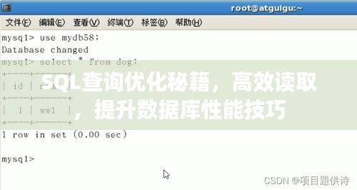 SQL查询优化秘籍，高效读取，提升数据库性能技巧