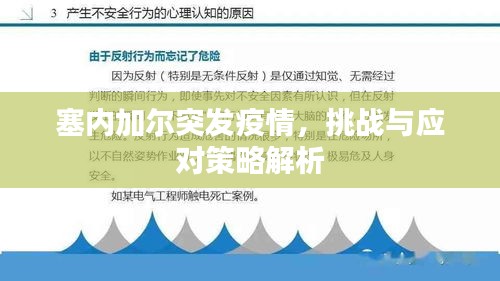 塞内加尔突发疫情，挑战与应对策略解析