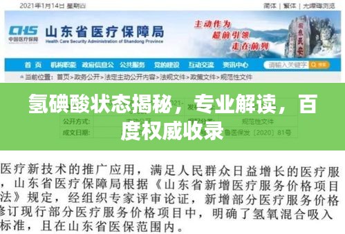 氢碘酸状态揭秘，专业解读，百度权威收录