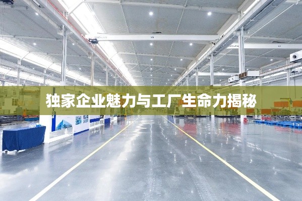 栖冲业简