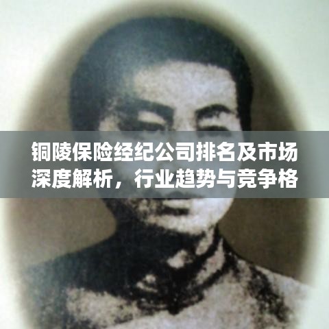 铜陵保险经纪公司排名及市场深度解析，行业趋势与竞争格局揭秘
