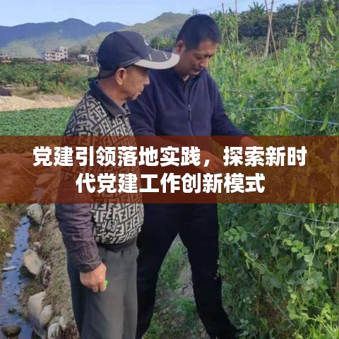 党建引领落地实践，探索新时代党建工作创新模式