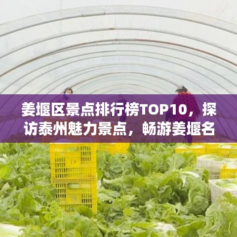 姜堰区景点排行榜TOP10，探访泰州魅力景点，畅游姜堰名胜之旅