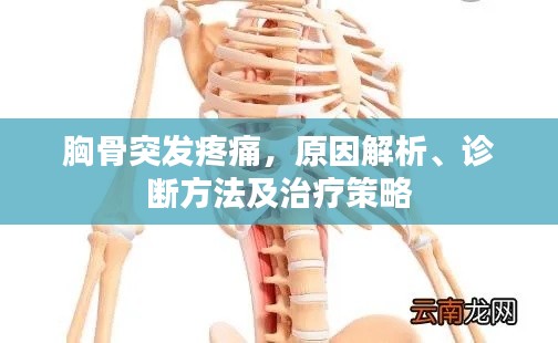 胸骨突发疼痛，原因解析、诊断方法及治疗策略