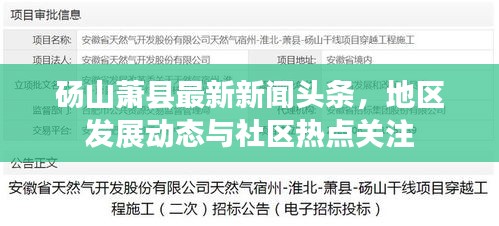 砀山萧县最新新闻头条，地区发展动态与社区热点关注