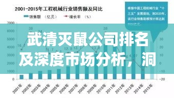 武清灭鼠公司排名及深度市场分析，洞悉行业趋势，引领灭鼠服务潮流