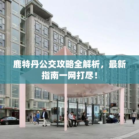 鹿特丹公交攻略全解析，最新指南一网打尽！