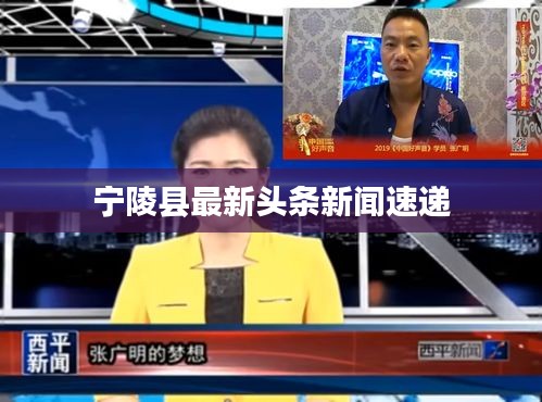 宁陵县最新头条新闻速递
