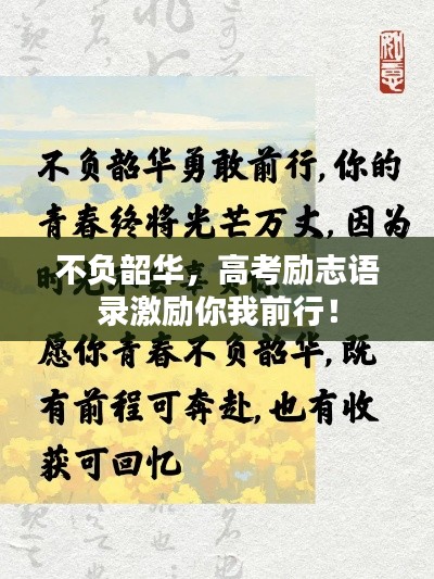既往不咎